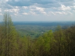 View From Woody Gap