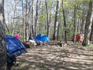 Rocky Knob Shelter Site
